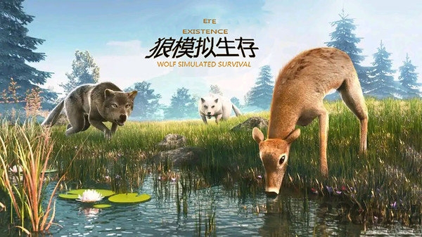 狼群txt下载，探索生存与自由的边界