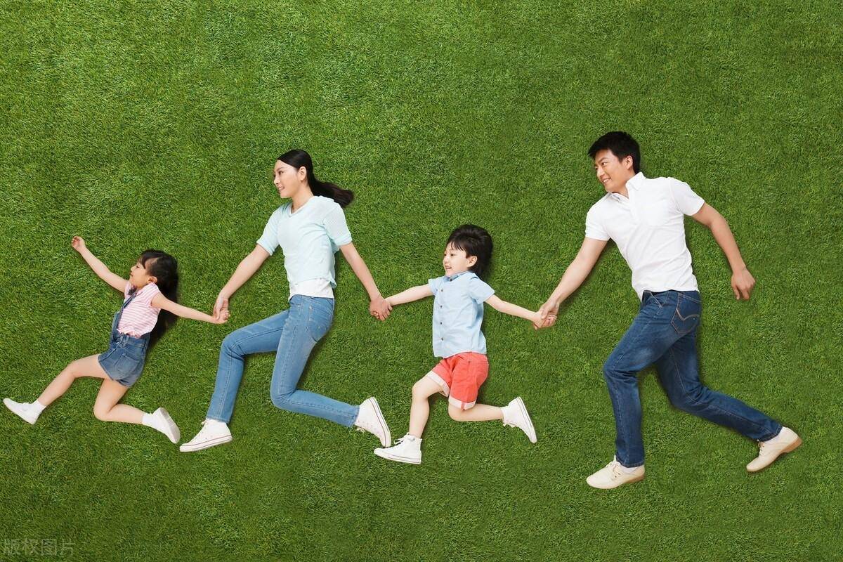婆家一肖一码资料大全，揭开家庭和谐与幸福的秘密