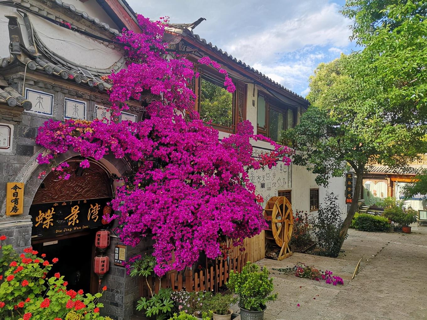 云南十一黄金周旅游全攻略，探秘彩云之南的绝美风光