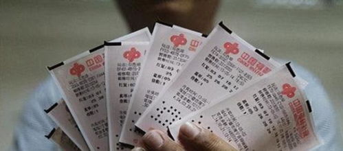 彩票中奖秘籍，揭秘最佳学习资源与策略