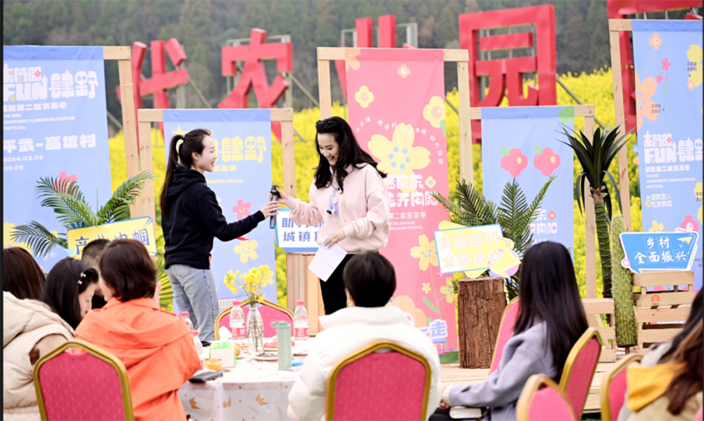 新彩网论坛，网络交流的彩民乐园与信息集散地