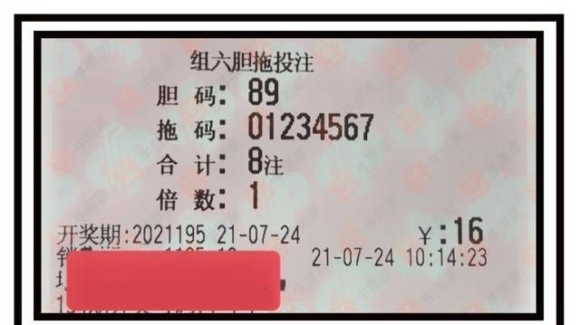 探秘中国福利彩票双色球，近200期的数字之旅与梦想之舞
