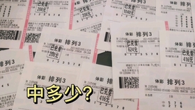 2045新澳门天天开好彩大全，探索未来彩票的无限可能