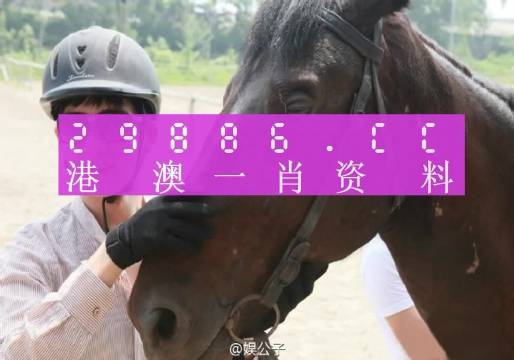 澳门一肖必中，揭秘背后的数字与策略澳门一肖一码必中一肖一码今晚
