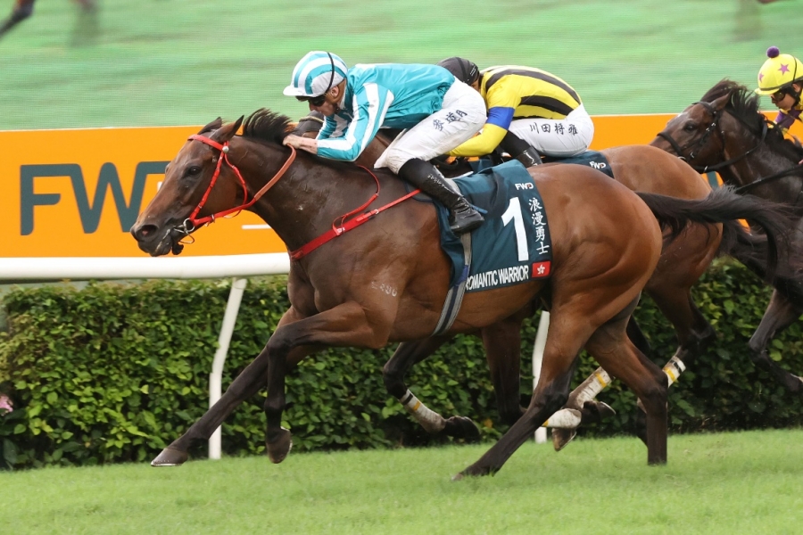 2019年香港马会资料大全，探索赛马的魅力与文化