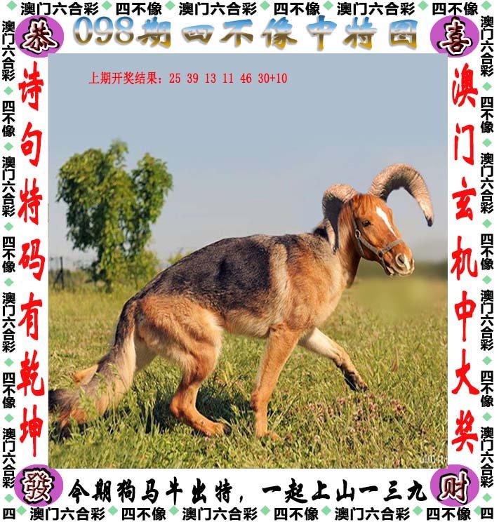 澳门今期特马四不像,探索独特魅力与文化交融