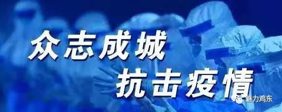 鸡东疫情，挑战与希望的交织鸡东疫情情况