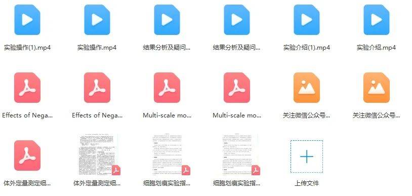 2018年免费全年资料,正版与共享的智慧平衡2018正版免费全年资料大全