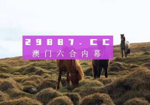 澳门新开奖记录，探索最新版官网的便捷与魅力新澳门开奖结果2020+开奖记录_