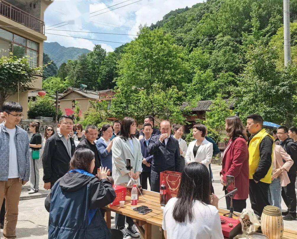 澳门开奖现场直播，探索官方渠道的魅力与安全新澳门开奖现场直播官网查询网址下载