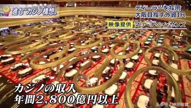 澳门彩综合走势图，深度解析与未来预测新澳门彩综合走势图分布图表大全及价格