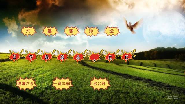 澳门彩4950，历史与未来的交汇点澳门49彩开奖结果历史记录2020