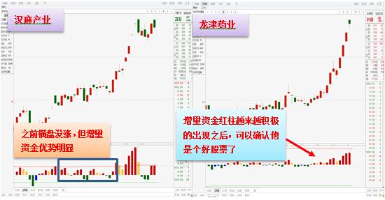 澳门综合号码走势图最新预测分析，洞悉未来，精准投注新澳门网