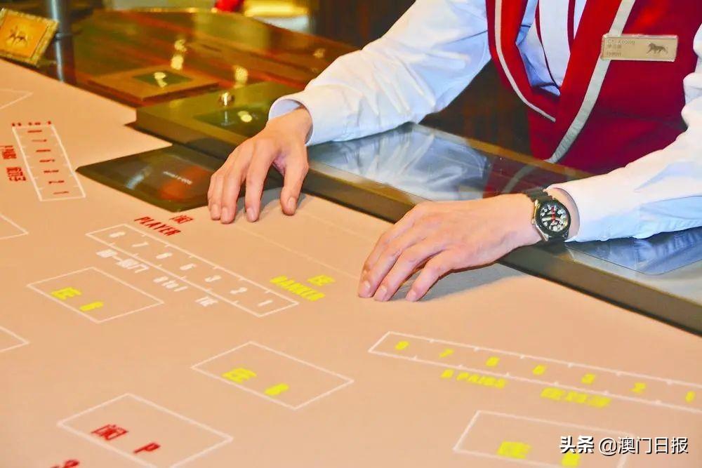 探索新澳门彩出码走势的奥秘，数据、趋势与策略分析新澳门彩出码走势图
